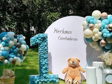 Oval birthday backdrop with teddy bear hot air balloon, teddy bear, pampas grass, and number one.