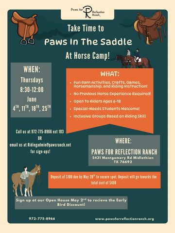 Horse camp flyer for kids with activities and riding instruction at Paws for Reflection Ranch.