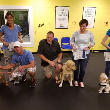 Let's Train! Canine Behavior Consultants