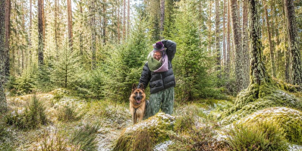 Person with a dog in a forest with light snowfall.