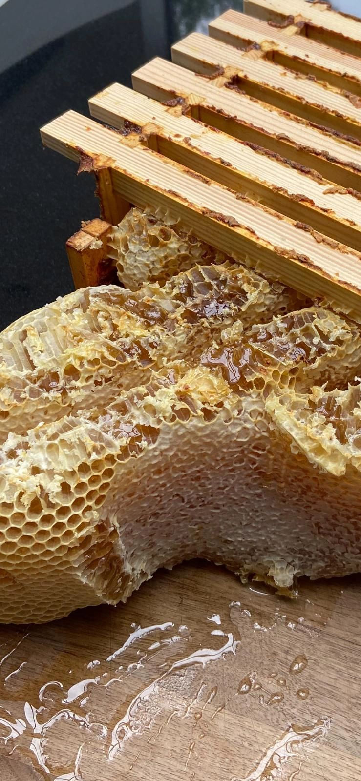 Wavy Honeycomb
