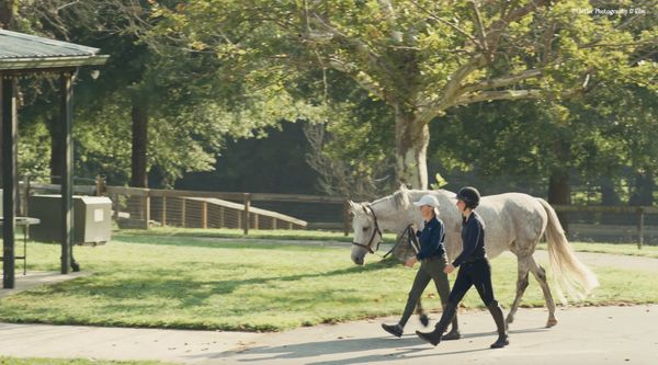 Löffler Photography & Film