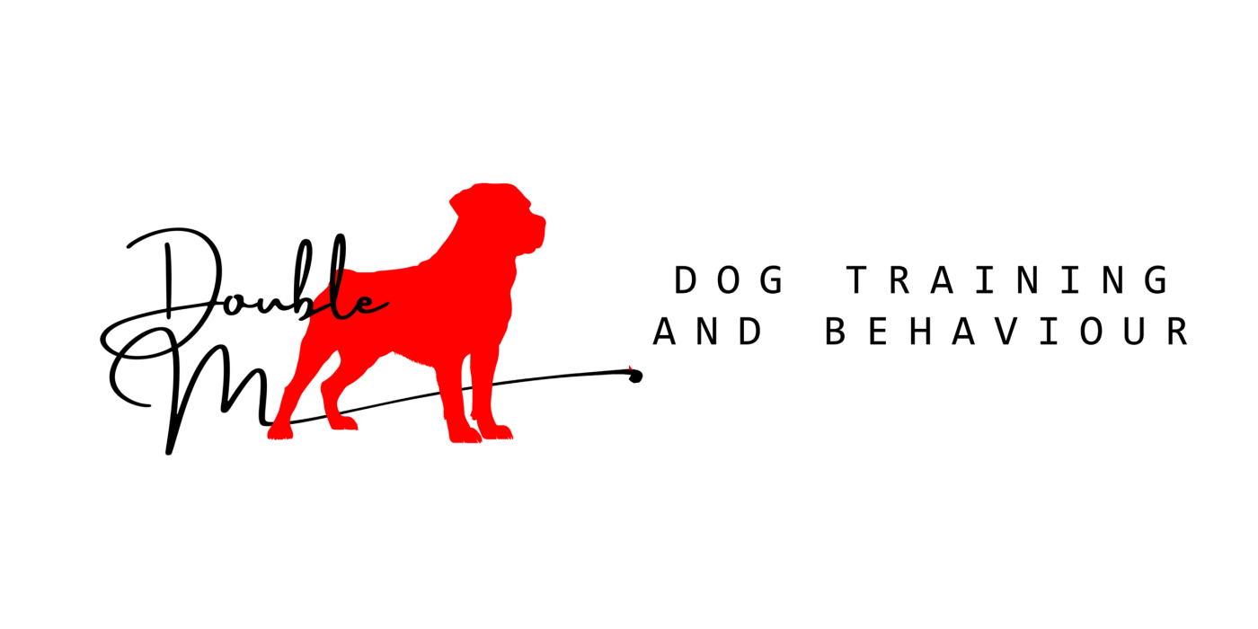 Double M Dog Training