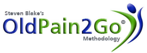 Old pain 2 Go logo