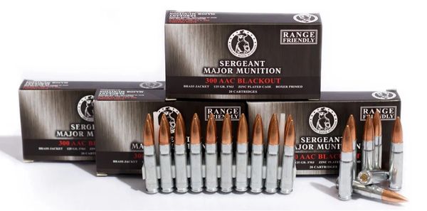 .300 AAC BLACKOUT 125 GR FMJ ZINC PLATED 120 ROUNDS