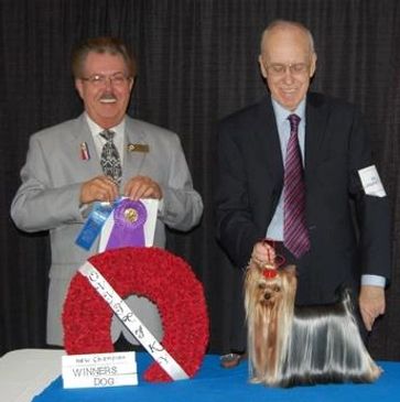 Ch.Wolpert's Tom Foolery