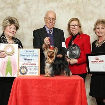 three women and a man with a dog 