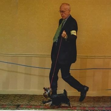 a man in suit is walking with a dog 