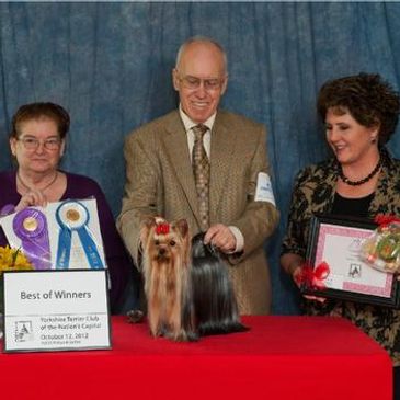 two women and man with a dog 