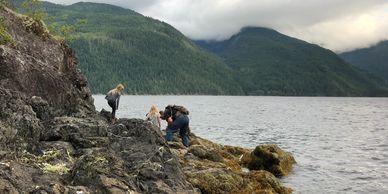 Hunting crab beachcombers ocean