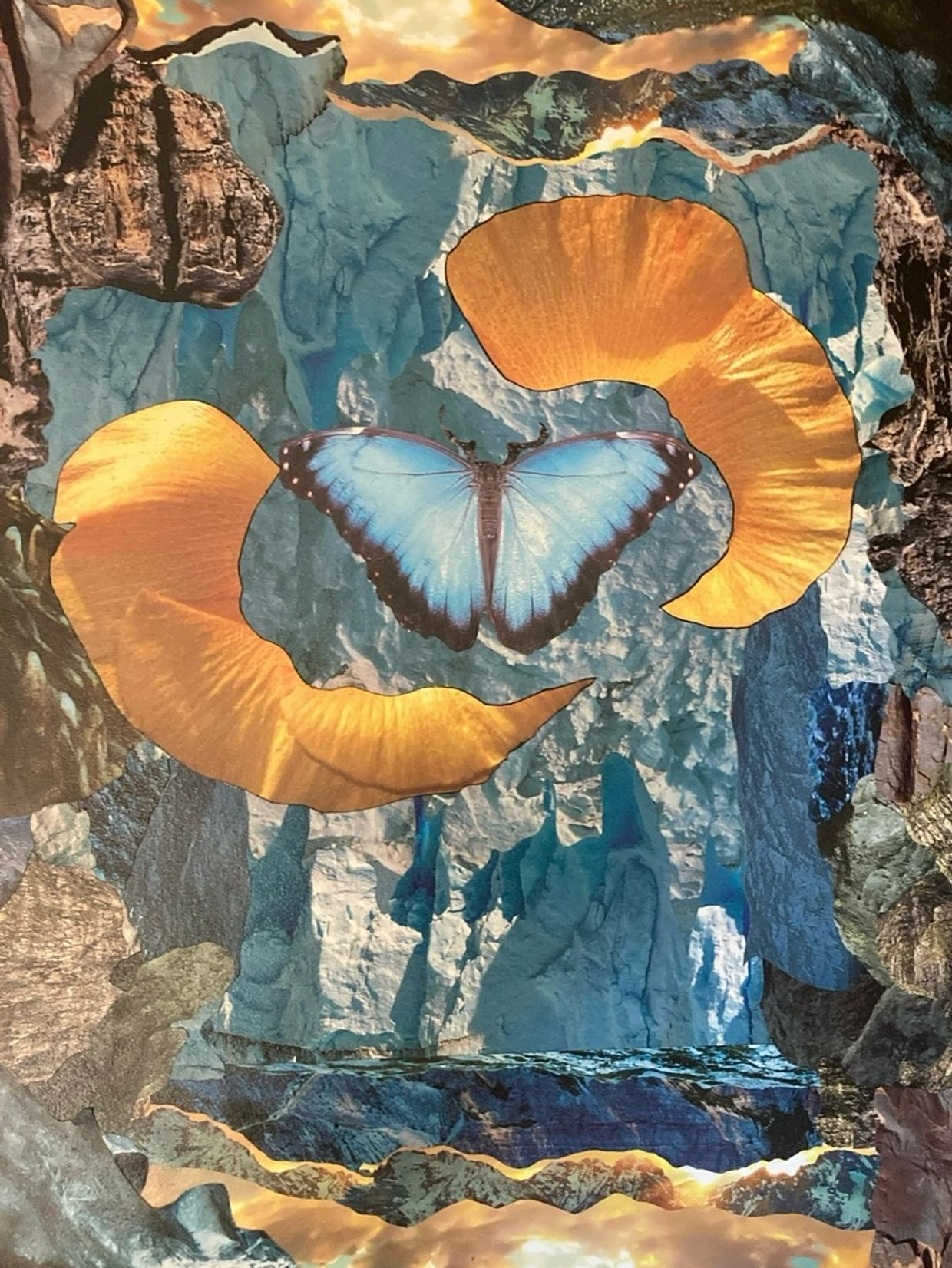 Care team for transformation