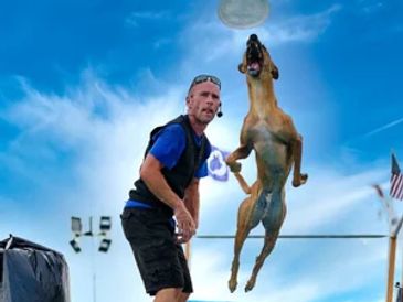 Man and dog playing frisbee outdoors on a sunny day.