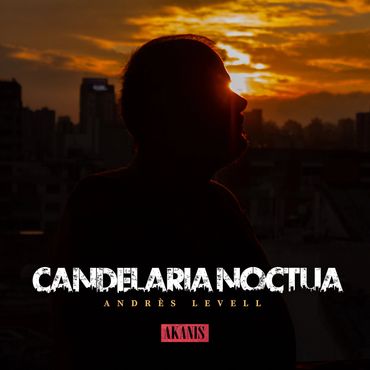 Silueta de persona al atardecer con texto de título musical.