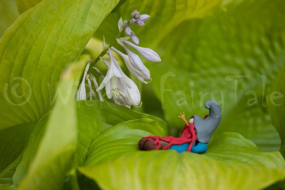 Nature photography inspiring Wicked FairyTale® artwork