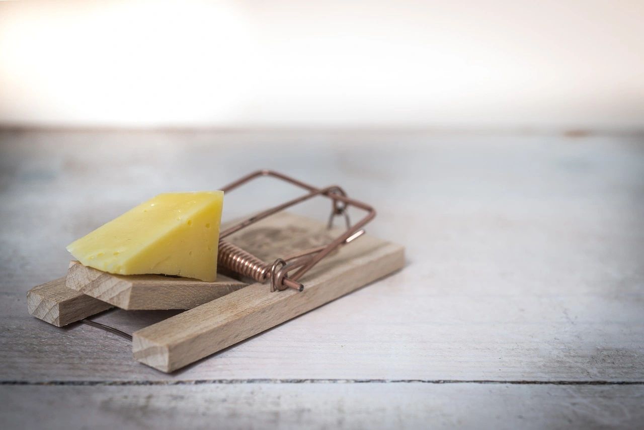Mouse trap with cheese — a metaphor for creative traps and burnout