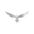 Silver Bird Solutions