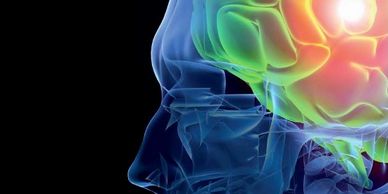 X-ray image showing brain with highlighted area and text Medical Psychology.