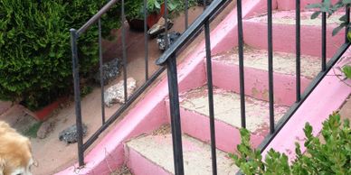 Worn pink stairs with black railing and a curious dog nearby.