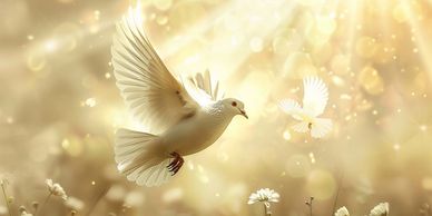 Reiki third-degree Shinpinden master  training,  in-person in Live Oak, Suwannee County, Florida