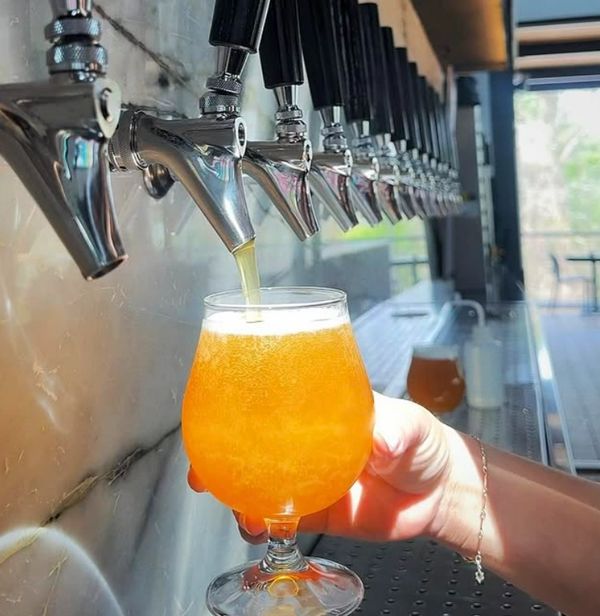 H Town Brewery craft beer selection