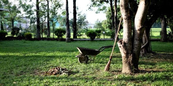 Garden Maintenance, waste removal, weeding, bushes, trimming, plants, pruning, gardener, durban