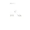 Reis Construction