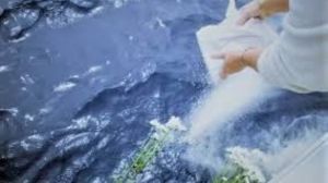 Burial at Sea Florida Burial at Sea Florida