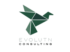 Evolutn Consulting