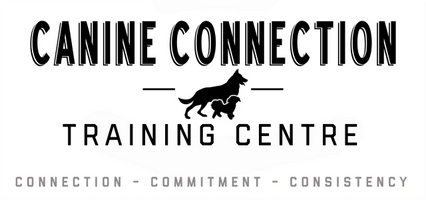 Canine Connection Training Centre Inc.