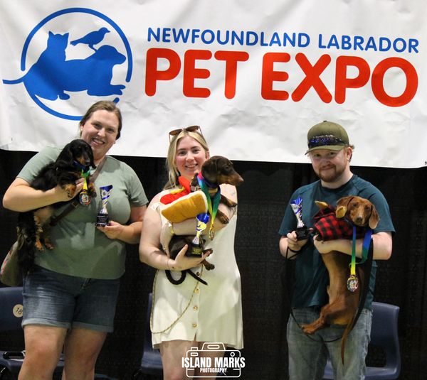 NL Pet Expo 2025