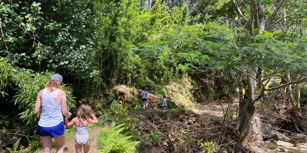 Family hike
Jungle hike
road to hana tour
maui family tour