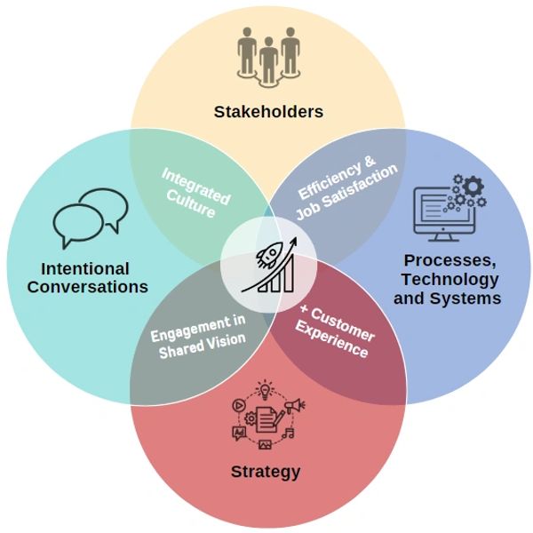 Business reinvention strategy
