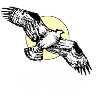 The Sea Pines 
Forest Preserve 