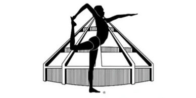 Iyengar Certification Mark Logo