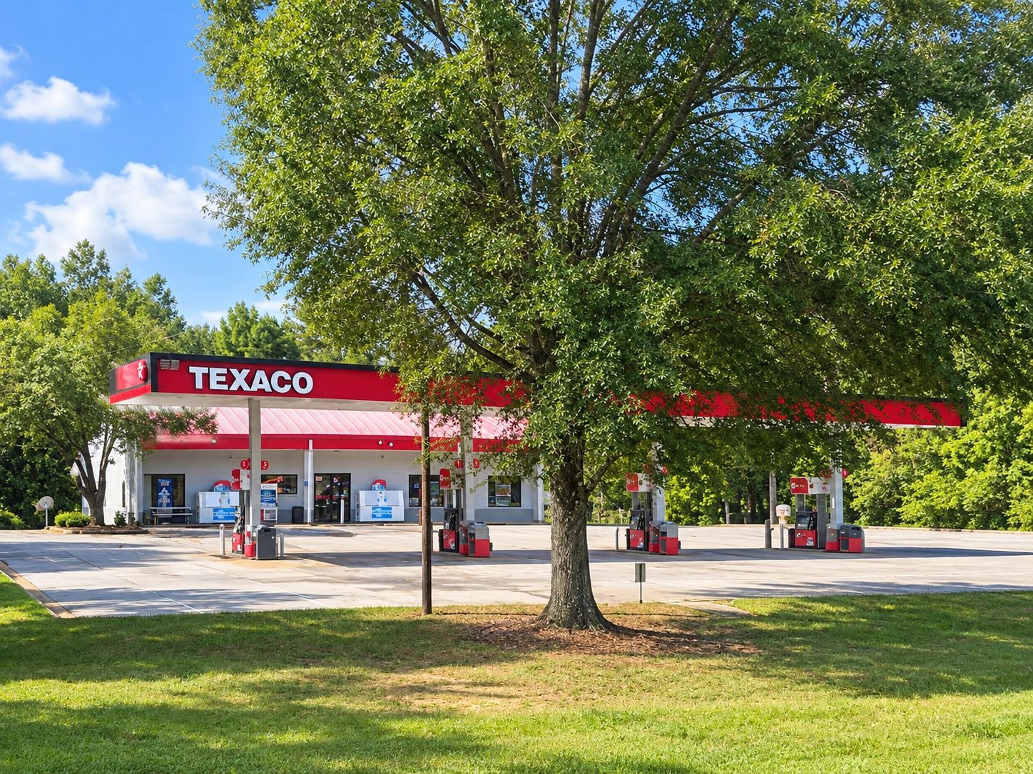 Texaco gas station behind a large tree on a sunny day.