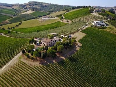 Hillside Winery Le Marche