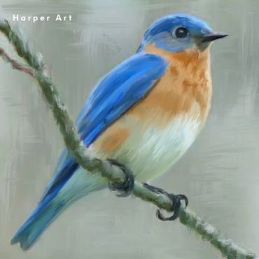 Blue Birds are summer's joy.