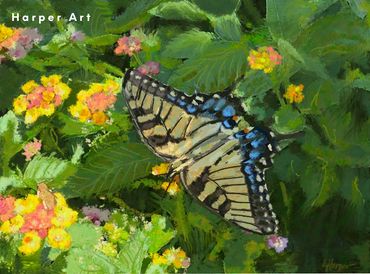 The brilliant colors of the Monarch butterfly captures anyone's eye in amazement.