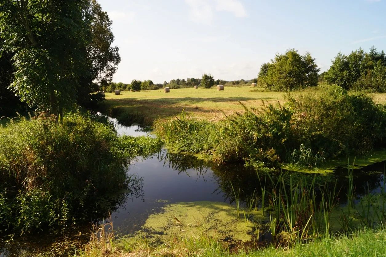 A peaceful river with lush greenery and hay bales in the background.