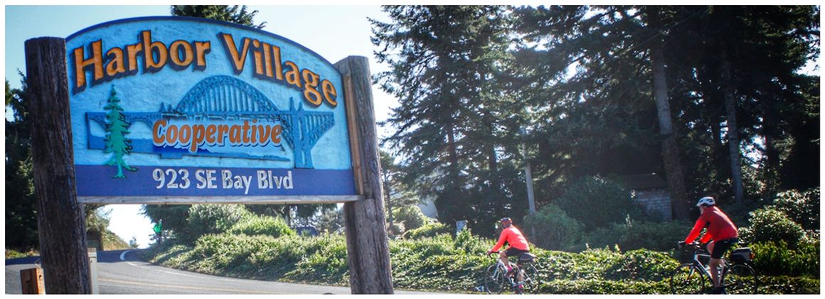 About We offer forested campsites along a meandering creek, giving the feel of secluded camping, with the amenities a quality park has to offer. We have full hookups including Cable TV, laundry and shower facilities as well as Accessible Wi-fi.