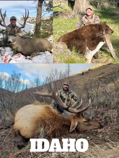 Hunters with large game animals in Idaho wilderness.