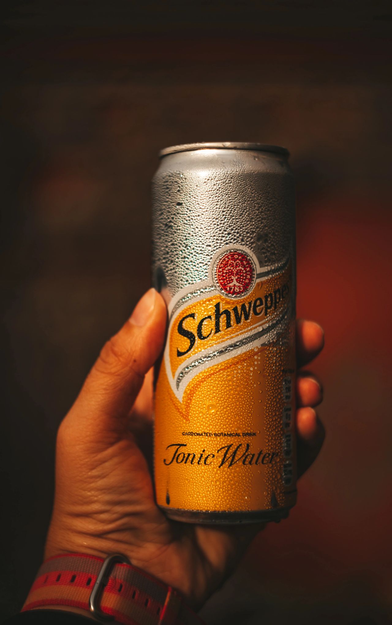 Schweppes Tonic Water Can