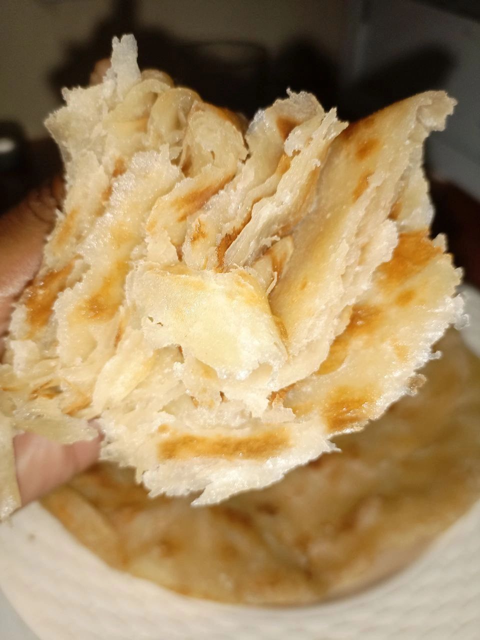 Cross section of chapati, flakes