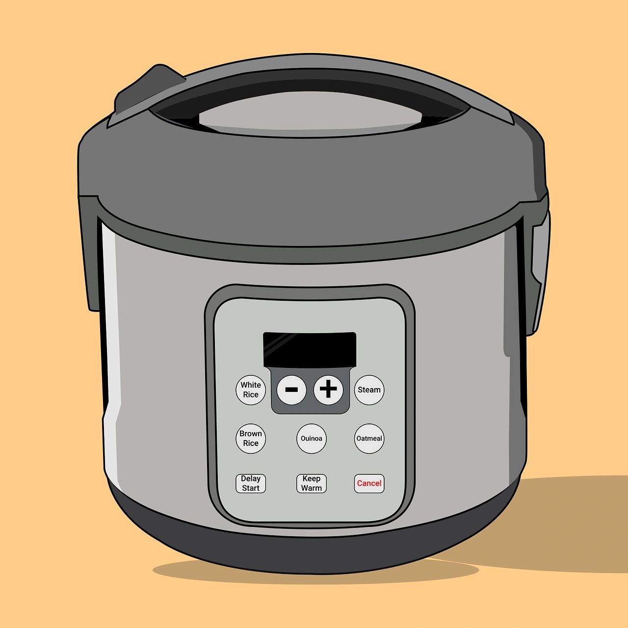 A Guide to Rice Cookers