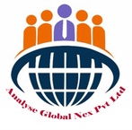 Analyse Global Nex Pvt Ltd