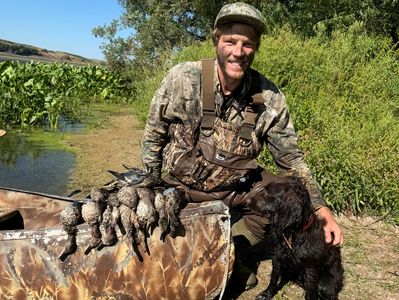June picked up 11 out of the 12 birds this morning including a banded blue wing on her 3 retrieve