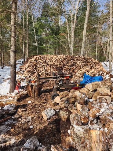 A large pile of chopped firewood in a snowy forest clearing.