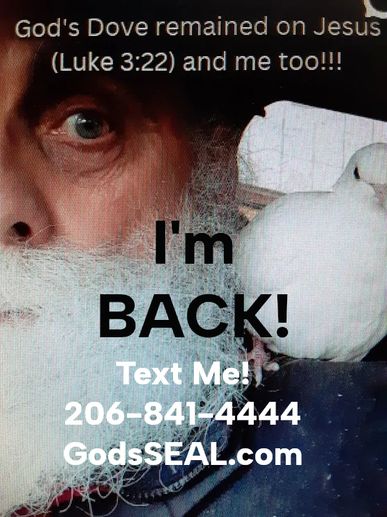 A poster with text written I'm back text me