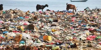 A plastic grade yard