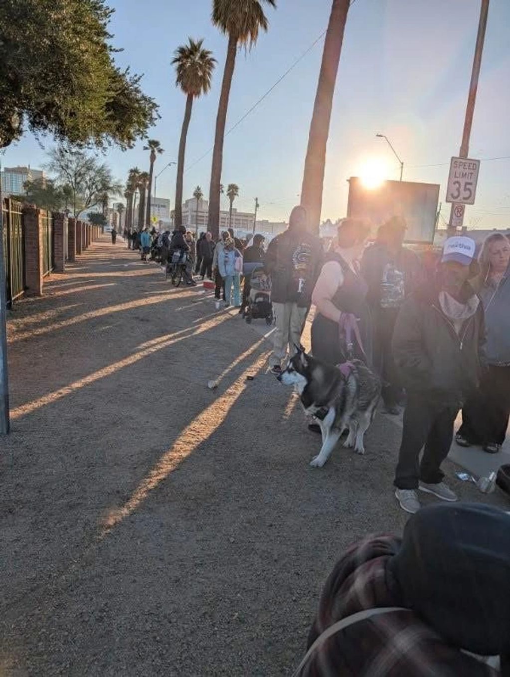 People lined up outdoors in the morning sunlight with a dog.
